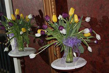 Dansereau House Bed and breakfast